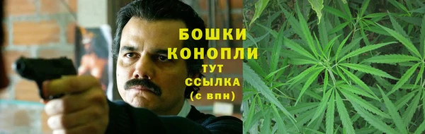 mdpv Протвино