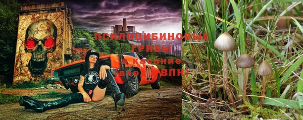 марки lsd Пролетарск