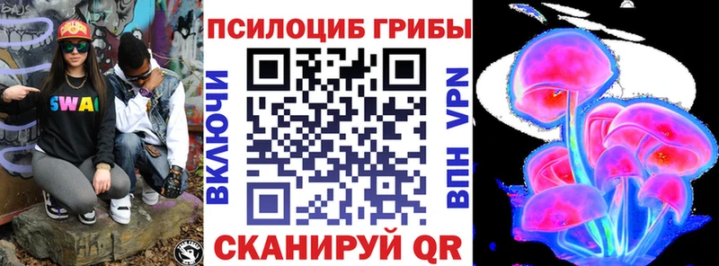 Галлюциногенные грибы Psilocybine cubensis  Сергач 